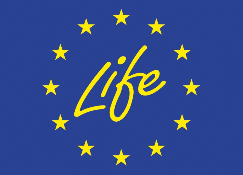 life-logo-1.jpg (156 KB)