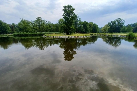 water quality monitoring and application of an environmentally friendly bacterial substrate to support the self-cleaning capabilities of the water reservoirs